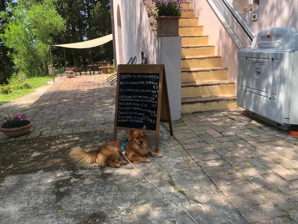 Bb Gli Aristogatti Bed & Breakfast Ghizzano Bagian luar foto
