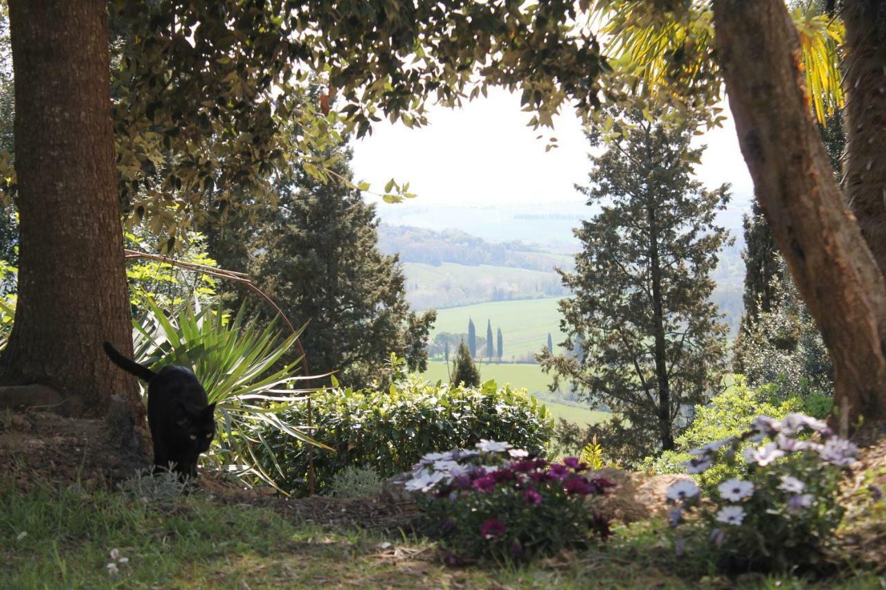 Bb Gli Aristogatti Bed & Breakfast Ghizzano Bagian luar foto